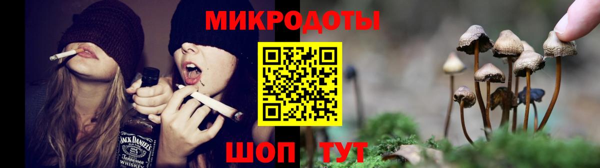 Псилоцибиновые грибы Psilocybe Комсомольск-на-Амуре